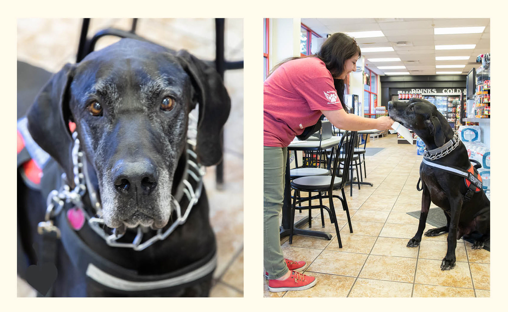 Doug the Dane